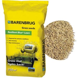 Trávní semena Resilient Blue od Barenbrug - Extrémní Podmínky 15kg Trávní semena Resilient Blue od Barenbrug - Extrémní Podmínky 15kg