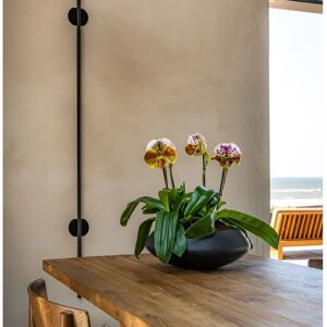 Ghiveci Negru XL - Ghiveci de Flori Ghiveci Negru XL - Ghiveci de Flori