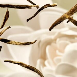 Rituals The Ritual of Karma Shimmering Body Oil (100ml) Rituals The Ritual of Karma Shimmering Body Oil (100ml)