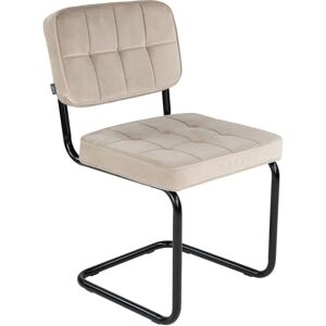 Chaise de salle à manger Ivy Champagne Kick Collection - Confort en velours moderne - Publicité Chaise de salle à manger Ivy Champagne Kick Collection - Confort en velours moderne - Publicité