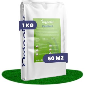 Graines de Gazon Résistantes ORGANIFER 1kg - Réparation Rapide - Publicité Graines de Gazon Résistantes ORGANIFER 1kg - Réparation Rapide - Publicité