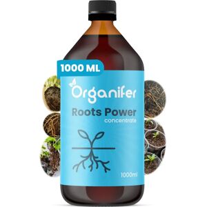 Organifer Concentré de Stimulateur de Racines Organique - 1000 ml - Publicité Organifer Concentré de Stimulateur de Racines Organique - 1000 ml - Publicité
