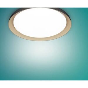 Philips Fleta Plafondlamp LED Philips Fleta Plafondlamp LED