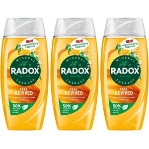 Radox Brand Model - Mineral Therapy Shower Gel - Feel Revived - 225ml Radox Brand Model - Mineral Therapy Shower Gel - Feel Revived - 225ml