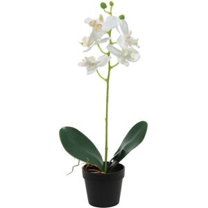Kaemingk Orchidea Artificiale in Vaso - Pianta Decorativa Kaemingk Orchidea Artificiale in Vaso - Pianta Decorativa