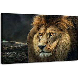 Karo-art Leeuwenportret - 2 Maten - Premium Print Karo-art Leeuwenportret - 2 Maten - Premium Print