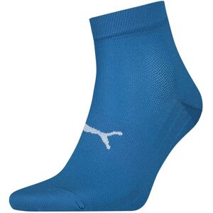 Puma Model 701218298 004 Blauwe Sokken - Sokken Puma Model 701218298 004 Blauwe Sokken - Sokken