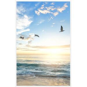 vidaXL White 5-Piece Photo Frame Collage - Picture Frame Collage vidaXL White 5-Piece Photo Frame Collage - Picture Frame Collage