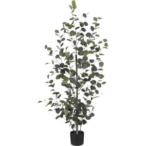 Mica Decorations Künstliche Eukalyptus Pflanze - 150cm - Grün - Innen Mica Decorations Künstliche Eukalyptus Pflanze - 150cm - Grün - Innen
