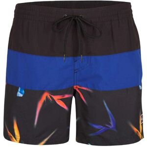 O'Neill Frame Blå/Svart Snabbtorkande Baddräkt O'Neill Frame Blå/Svart Snabbtorkande Baddräkt