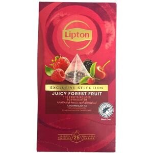 Lipton - Modèle - Feuilles Longues - Fruits - Pyramide - Thé - Publicité Lipton - Modèle - Feuilles Longues - Fruits - Pyramide - Thé - Publicité