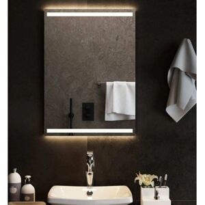 Miroir de salle de bain LED étanche 50x70cm vidaXL - Fixation murale Miroir de salle de bain LED étanche 50x70cm vidaXL - Fixation murale