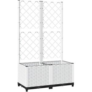 Vas de grădină cu gard viu vidaXL - Vas de grădină pentru plante cățărătoare Vas de grădină cu gard viu vidaXL - Vas de grădină pentru plante cățărătoare