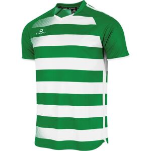 T-Shirt Synergy Vert L - T-Shirt - Publicité T-Shirt Synergy Vert L - T-Shirt - Publicité