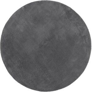 vidaXL Anthracite Short Pile Rug - Soft & Washable Indoor Floor Mat - 100cm vidaXL Anthracite Short Pile Rug - Soft & Washable Indoor Floor Mat - 100cm