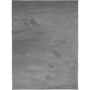 vidaXL Tapis OVIEDO à Poil Court - Anthracite - Tapis - Publicité vidaXL Tapis OVIEDO à Poil Court - Anthracite - Tapis - Publicité