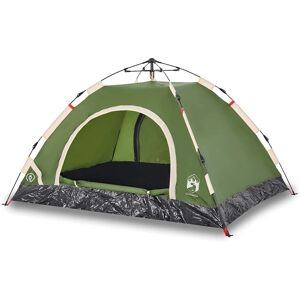 vidaXL Green 4-Person Camping Tent - Waterproof Lightweight Dome vidaXL Green 4-Person Camping Tent - Waterproof Lightweight Dome