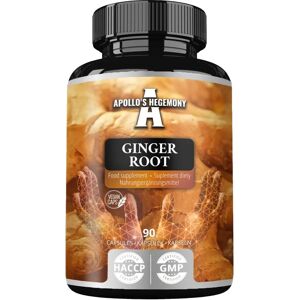 Apollo’s Hegemony Ingefærrot 500 mg - 90 kapsler - Støtte for fordøyelse og immunforsvar Apollo’s Hegemony Ingefærrot 500 mg - 90 kapsler - Støtte for fordøyelse og immunforsvar
