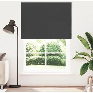 vidaXL Blackout Roller Blind - 145x210 cm - Black vidaXL Blackout Roller Blind - 145x210 cm - Black