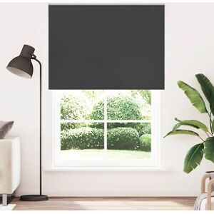 vidaXL Verdunkelungsrollo - 160x230 cm - Privatsphäre & Lichtschutz vidaXL Verdunkelungsrollo - 160x230 cm - Privatsphäre & Lichtschutz