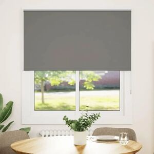 VidaXL Gray Polyester Roller Blind - Enclosed Privacy & Light Control VidaXL Gray Polyester Roller Blind - Enclosed Privacy & Light Control