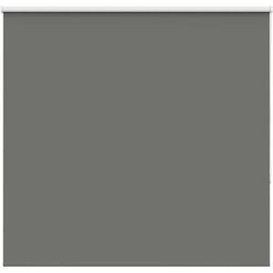 vidaXL Gray Blackout Roller Blind - Window Covering vidaXL Gray Blackout Roller Blind - Window Covering