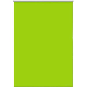 vidaXL Green Blackout Roller Blind 115x175cm Polyester vidaXL Green Blackout Roller Blind 115x175cm Polyester