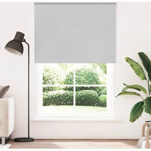 vidaXL Light Gray Roller Blinds - Rollershades vidaXL Light Gray Roller Blinds - Rollershades