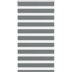 vidaXL Zebra Roller Blind - Durable Polyester Privacy & Light Control vidaXL Zebra Roller Blind - Durable Polyester Privacy & Light Control