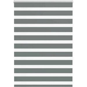 vidaXL Zebra Blinds - 95x150 cm, Polyester, Dark Gray, Modern vidaXL Zebra Blinds - 95x150 cm, Polyester, Dark Gray, Modern
