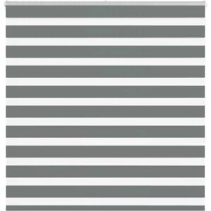 vidaXL Zebra Blinds - Durable Light Control vidaXL Zebra Blinds - Durable Light Control