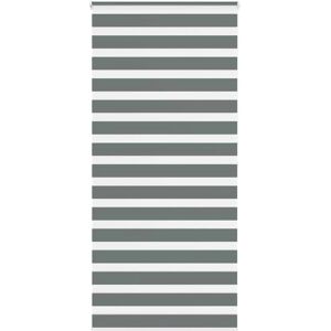 vidaXL Zebra Blinds - 100x200 cm Grey vidaXL Zebra Blinds - 100x200 cm Grey
