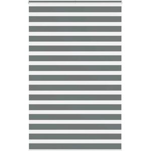 vidaXL Zebra Roller Blinds - Dark Grey - Sun & Privacy Control vidaXL Zebra Roller Blinds - Dark Grey - Sun & Privacy Control