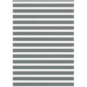 VidaXL Zebra roller blind - 165x200 cm, polyester, dark gray - Roller Blind VidaXL Zebra roller blind - 165x200 cm, polyester, dark gray - Roller Blind