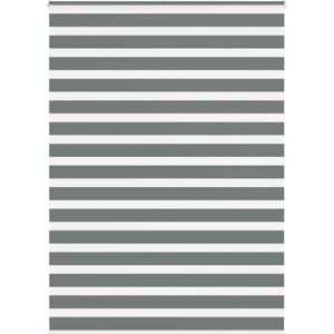 VidaXL Zebra-Rollos - 165x200 cm, Polyester, Dunkelgrau - Rollo VidaXL Zebra-Rollos - 165x200 cm, Polyester, Dunkelgrau - Rollo