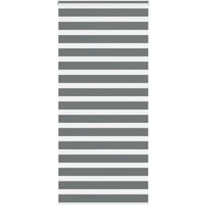 Stores Zebra VIDAXL - 110x230 cm - Polyester Résistant - Publicité Stores Zebra VIDAXL - 110x230 cm - Polyester Résistant - Publicité