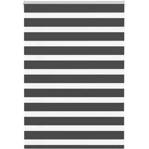 vidaXL Zebra Blinds - 110x100 cm, Polyester, Black - Zebra Blinds vidaXL Zebra Blinds - 110x100 cm, Polyester, Black - Zebra Blinds