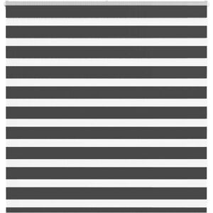 vidaXL Zebra Blinds - 150x100 cm - Polyester - Black vidaXL Zebra Blinds - 150x100 cm - Polyester - Black