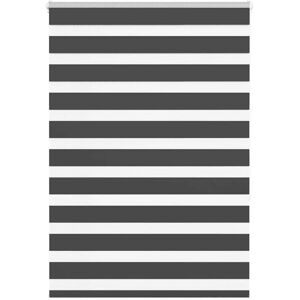 vidaXL Zebra Blinds 100x150 cm Polyester Black - Zebra Blinds vidaXL Zebra Blinds 100x150 cm Polyester Black - Zebra Blinds