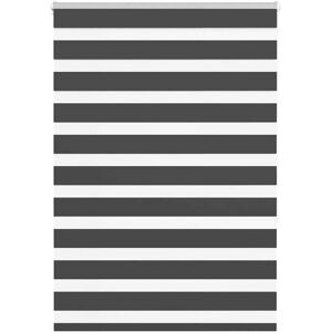 vidaXL Zebra-Rollos 100x150 cm Polyester Schwarz - Zebra Rollos vidaXL Zebra-Rollos 100x150 cm Polyester Schwarz - Zebra Rollos