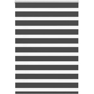 vidaXL Zebra Blinds - Polyester - Black - 110x150 cm vidaXL Zebra Blinds - Polyester - Black - 110x150 cm