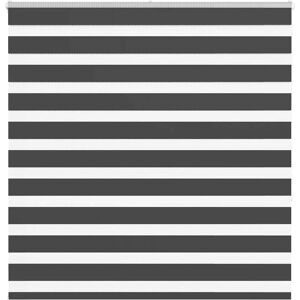 vidaXL Zebra Rullegardin - 150x150 cm - Polyester, Sort - Vinduesdække vidaXL Zebra Rullegardin - 150x150 cm - Polyester, Sort - Vinduesdække