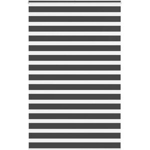 store zebra vidaXL - 145x230 cm - Noir - Voile enroulable - Publicité store zebra vidaXL - 145x230 cm - Noir - Voile enroulable - Publicité
