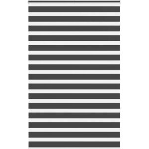 vidaXL Stores Zebra - Durable Polyester - Intimité et Protection Solaire - Publicité vidaXL Stores Zebra - Durable Polyester - Intimité et Protection Solaire - Publicité