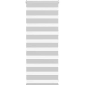 VidaXL Zebra Roller Blind - 65x100 cm, Light Gray, Polyester VidaXL Zebra Roller Blind - 65x100 cm, Light Gray, Polyester
