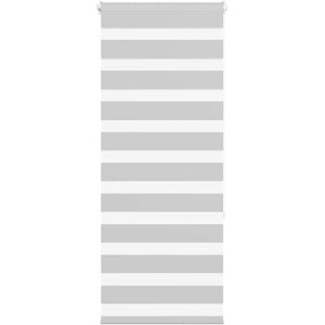 VidaXL Zebra Roller Blind - 65x150 cm, Light Grey, Polyester, Modern VidaXL Zebra Roller Blind - 65x150 cm, Light Grey, Polyester, Modern