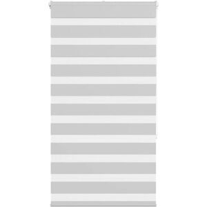 VidaXL Zebra Blinds - 70x150 cm Light Gray - Zebra Blinds VidaXL Zebra Blinds - 70x150 cm Light Gray - Zebra Blinds
