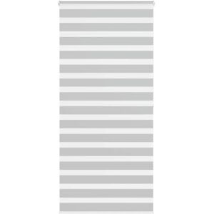vidaXL Stores Zebra - 110x200 cm - Polyester - Gris Clair - Publicité vidaXL Stores Zebra - 110x200 cm - Polyester - Gris Clair - Publicité