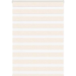 vidaXL Estor Cebra Beige - Polyester - 95x100 cm - Publicité vidaXL Estor Cebra Beige - Polyester - 95x100 cm - Publicité