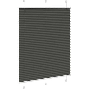 vidaXL Pleated Blind - 105 x 150 cm - Black vidaXL Pleated Blind - 105 x 150 cm - Black